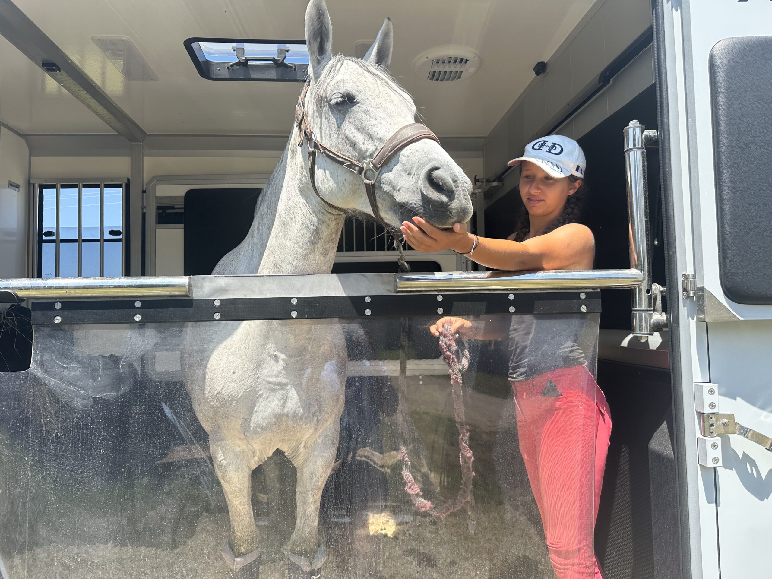 Jeune femme apaisant un cheval dans un van equrelax-transport-chevaux en Occitanie, ambiance sereine et lumineuse,
